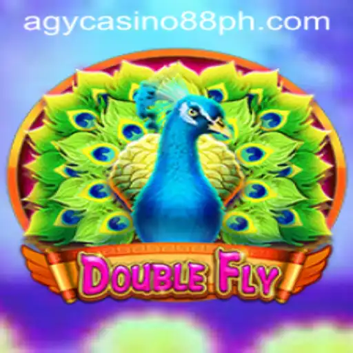 DoubleFly: A Thrilling Gaming Experience with Agycasino88